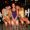 Karen Stolte