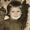 sue noname