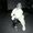 Bruce H