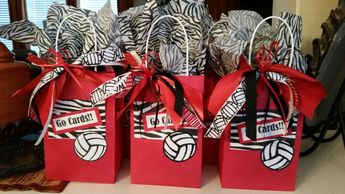 Diane Logan Dianelogan Pinterest Profile Ytics Treat Bags For Volleyball Ribbon Is A Hair Bow Each Player