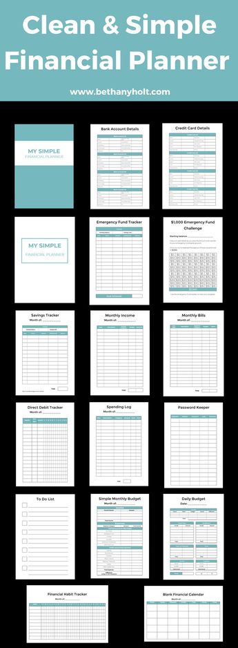 financial planner budget planner finance planner bud