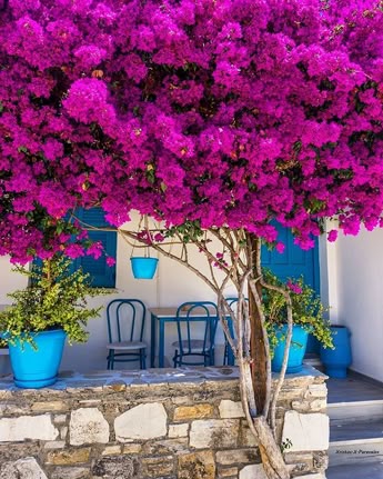 Antiparos Greece by @xristos.x.paravalos #the_daily_traveller www.dailytraveller.gr Follow me on @vsiras & @bestgreekhotels #athensvoice #ae_greece #insta_greece #greecetravelgr1_ #team_greece #super_greece #kings_greece #roundphot0 #reasonstovisitgreece #greecelover_gr #ig_greece #welovegreece_ #wu_greece #greecestagram #igers_greece #ilovegreece #greece #perfect_greece #great_captures_greece #instalifo #loves_greece #life_greece #instagreece #travel_greece #greecetravelgr #gf_greece #igersgreece #visitgreece #tv_greece Antiparos Greece by @xristos.x.paravalos #the_daily_traveller www.dailytraveller.gr Follow me on @vsiras & @bestgreekhotels #athensvoice #ae_greece #insta_greece #greecetravelgr1_ #team_greece #super_greece #kings_greece #roundphot0 #reasonstovisitgreece #greecelover_gr #ig_greece #welovegreece_ #wu_greece #greecestagram #igers_greece #ilovegreece #greece #perfect_greece #great_captures_greece #instalifo #loves_greece #life_greece #instagreece #travel_greece #greecetravelgr #gf_greece #igersgreece #visitgreece #tv_greece