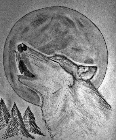 Luna llena | Lobo dibujo a lapiz, Lobos a lapiz, Lobo dibujo