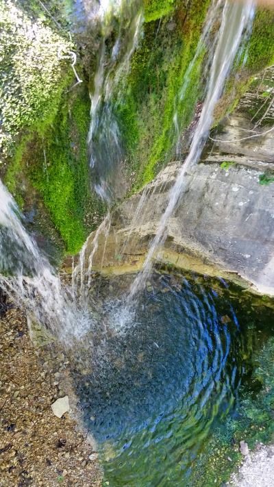 154 Best Arkansas Images On Pinterest Usa 154 Best Arkansas Images On Pinterest Usa Vacations And Camping In