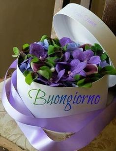 scaricare adesivi buongiorno da