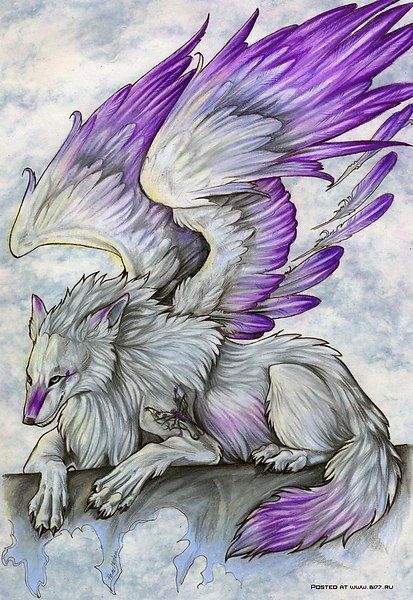 Dragon wolf