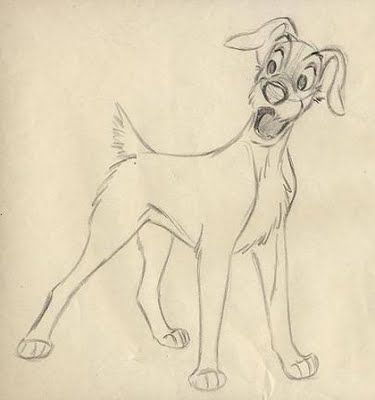 Living Lines Library Lady And The Tramp 1955 Character Design Model Sheets Production Drawings Disney Sketches Sketches Animated Drawings