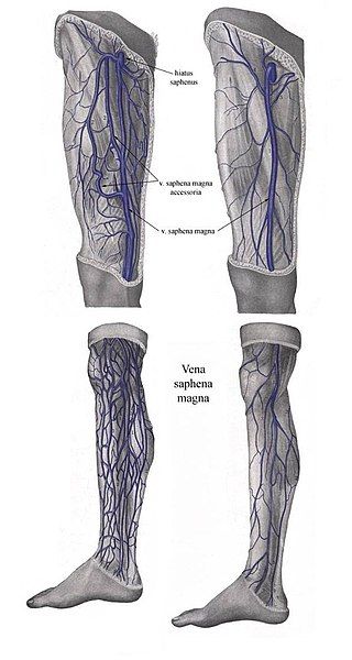 Durerea de umar - factori de risc, cauze, diagnostic si tratament