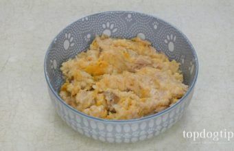 Recipe Homemade Dog Food For Struvite Bladder Stones Dog Food