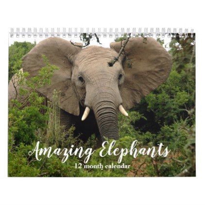 Amazing Elephants 2020 Calendar Elephant Animals Elephant Gifts baby elephant calendar 2021