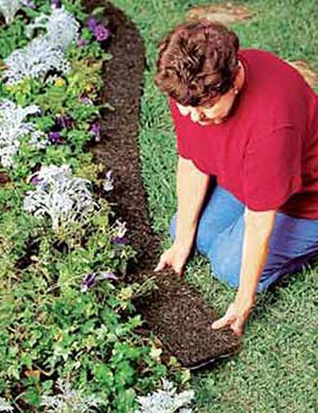 Courtyard Garden - Gretchen Bauer Design Patio Plants Courtyard Garden Backyard Landscaping