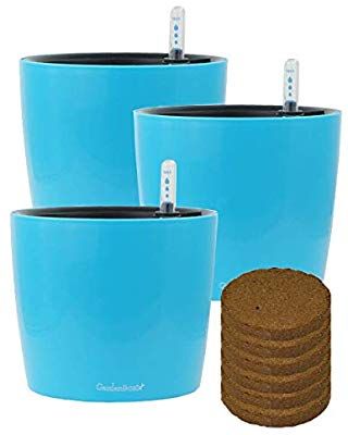 GardenBasix 7 inch Self Watering Planter with Coco Potting Soil Indoor Outdoor Home Garden Foolproof Modern Decorative Planter Pot for Herbs Plants Flowers African Violets 3, White GardenBasix 7 inch Self Watering Planter with Coco Potting Soil Indoor Outdoor Home Garden Foolproof Modern Decorative Planter Pot for Herbs Plants Flowers African Violets 3, White