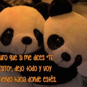 50 Imagenes De Ositos Amor Imagenes De Osos Ositos De