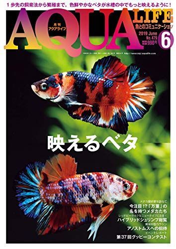 ダウンロード Pdf 月刊アクアライフ 19年 06 月号 映えるベタ 無料 エムピージェー ダウンロード Pdf オンライ ン Fish Pet Pets Animals ダウンロード Pdf 月刊アクアライフ 19年 06 月号 映えるベタ 無料 エムピージェー ダウンロード Pdf オンライ ン Fish Pet Pets Animals