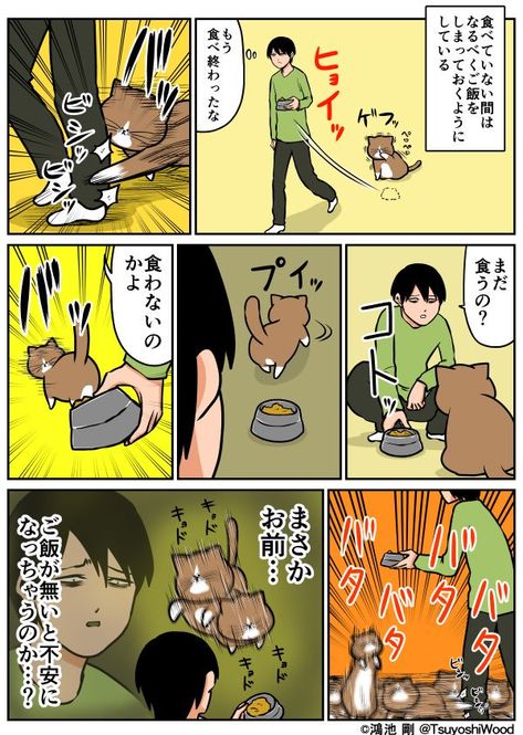 猫のぽんたニャャャン のアイデア 件 鴻池 鴻池剛 猫 猫のぽんたニャャャン のアイデア 件 鴻池 鴻池剛 猫