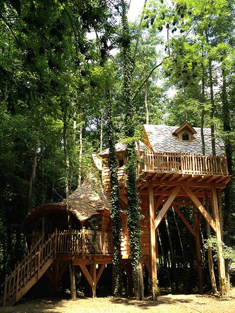 Cabane Dans Les Arbres Avec Jacuzzi 77