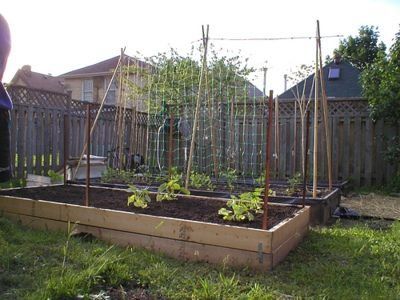 The Shepherd S Garden 1000 Raised Garden Beds Garden Beds Building Raised Garden Beds