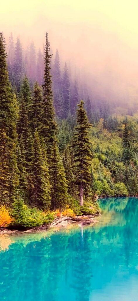 Canadian Rockies Banff National Park Iphone Wallpaper Iphone Wallpaper National Parks Cool Wallpapers For Phones