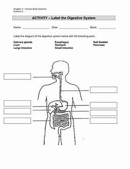 720 Coloring Book Biology Free Images 720 Coloring Book Biology Free Images