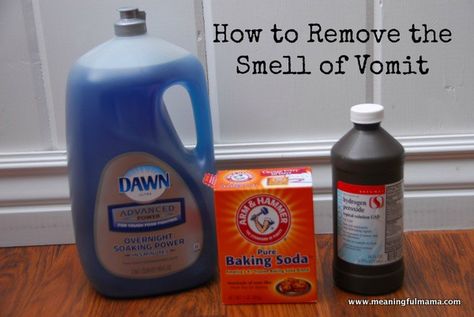 How To Remove The Vomit Smell From Carpet Furniture Car
