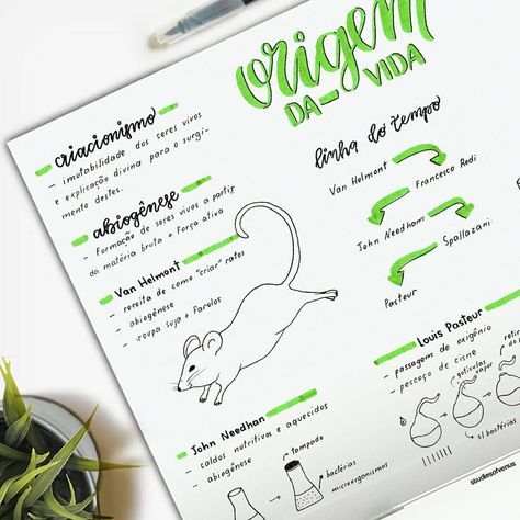 Resumo De Ecologia Impactos Ambientais Resumos Enem Materias Ensino Medio Ecologia Enem