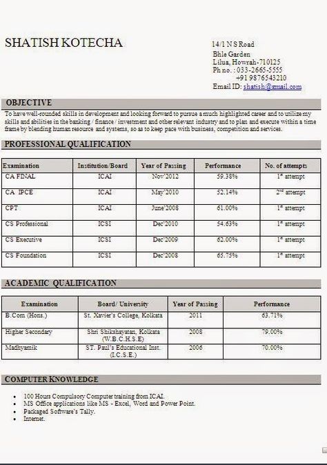 cv professional Sample Template Example of Excellent Curriculum - resume and cv format cv professional Sample Template Example of Excellent Curriculum - resume and cv format