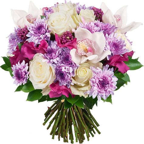 Un Bouquet De Fleurs Colore Pour Egayer L Hiver Aquarelle Com