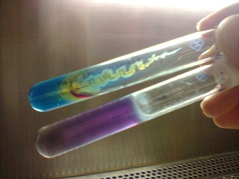 foro de prostatitis escherichia coli