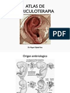 Auriculoterapia para bajar de peso pdf