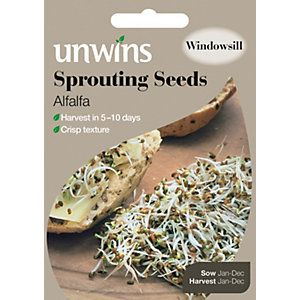 Unwins Sprouting Alfalfa Seeds