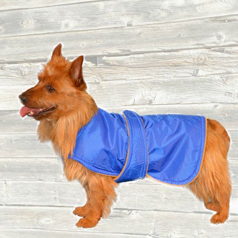 Mini Dachshund Winter Coat Custom Made With Tummy Panel And