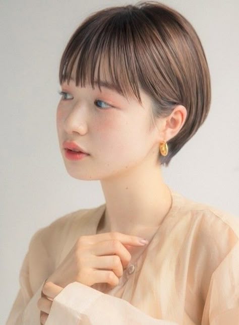 ヘア ビューティー のアイデア 230 件 21 ヘアカット ショートのヘアスタイル ヘアースタイル ヘア ビューティー のアイデア 230 件 21 ヘアカット ショートのヘアスタイル ヘアースタイル