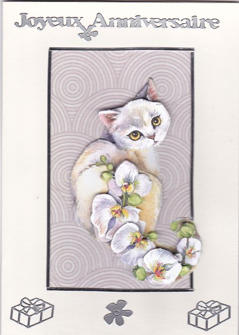 Joyeux Anniversaire Le Chat Aux Orchidees Taille De 10 5 X 15 Cm Carte Double Representant Un C Carte Anniversaire Cadeaux Faits Main Joyeuse Anniversaire Joyeux Anniversaire Le Chat Aux Orchidees Taille De 10 5 X 15 Cm Carte Double Representant Un C Carte Anniversaire Cadeaux Faits Main Joyeuse Anniversaire