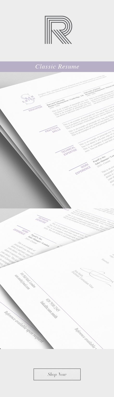 Elegant Resume Template 110460 - Premium line of Resume \ Cover - deli attendant sample resume Elegant Resume Template 110460 - Premium line of Resume \ Cover - deli attendant sample resume