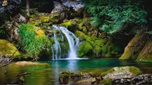 Wallpaper Hd Laptop Wide Nature Wallpaper Hd Nature Wallpapers Nature Desktop Wallpaper