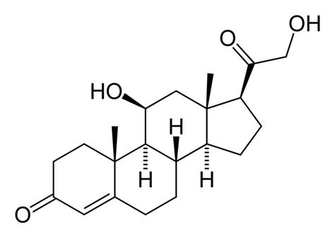Cortisol Levels After Steroids Cortisol Levels After Steroids