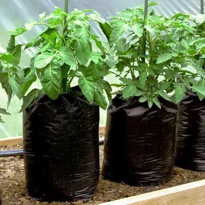 Grow Bags 7 Gallon 25 Count In 2021 Grow Bags Plastic Pots Growing
