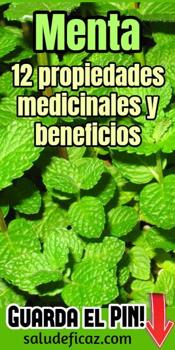 ¿Qué hierbas son buenas para la presión arterial alta?
