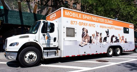 94 Spay Neuter Low Cost Us Canada Ideas In 21 Neuter Spay Dog Boarding Near Me 94 Spay Neuter Low Cost Us Canada Ideas In 21 Neuter Spay Dog Boarding Near Me