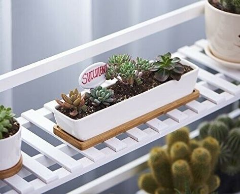 Succulent Plant Pots 11 Inch Long Ceramic Containers Cactus Planter Flower Pot