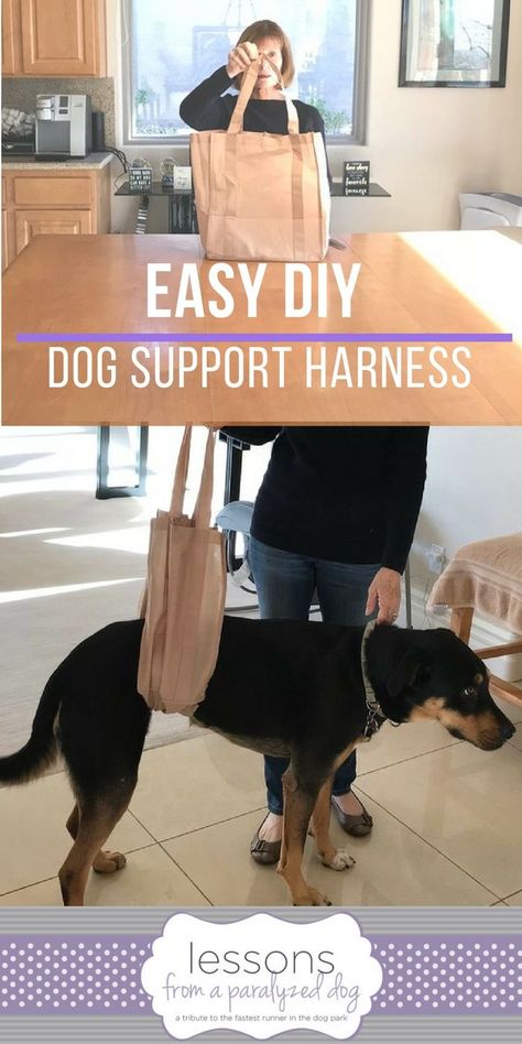 Easy Diy Grocery Bag Dog Support Harness Sling Paralyzed Dog