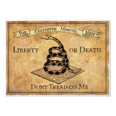 Don T Tread On Me Poster Zazzle Com In 2021 History Tattoos History Drawings History Classroom Decorations