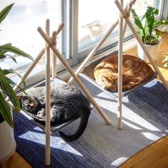 De Todo Un Poco Camas De Gato Cosas Para Gatos Juguetes Caseros Para Gatos