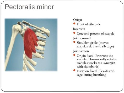 Pin on health info