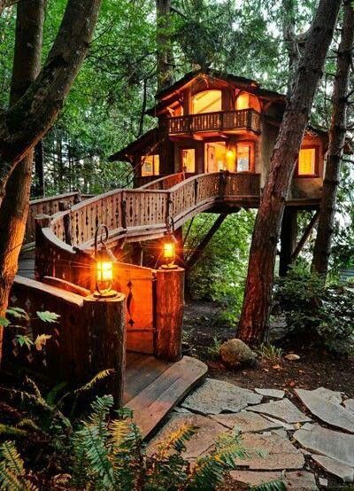 These 6 Treehouses In North Carolina Will Give You An These 6 Treehouses In North Carolina Will Give You An Unforgettable Experience Caves Treehouse And Cozy
