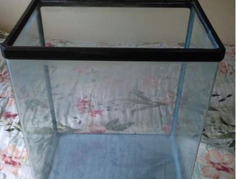Pecera De 40 Litros Con Lampara En Carabobo Vitrina Pastelera Jaulas Para Canarios Anuncios Gratis