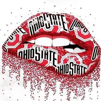 Pin By Mary Ingold On I M A Buckeye Love Ohio State With Images