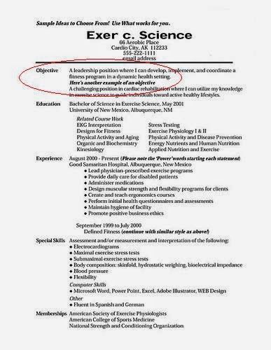 objective in resume for job