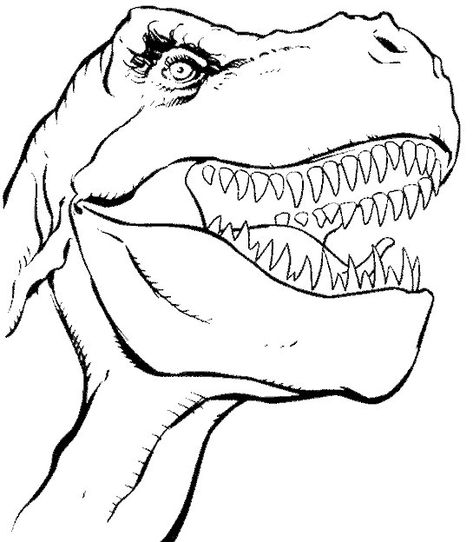 42 Disegni Di Dinosauri Da Colorare Dinosauri Libri Da Colorare