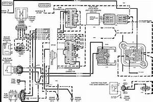 Diagram 2000 Sunnybrook Wiring Diagram Full Version Hd Quality Wiring Diagram Mediagramma Amministrazioneinca In 2021 Diagram Trailer Wiring Diagram Repair Manuals
